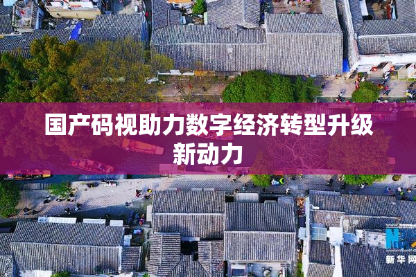 国产码视助力数字经济转型升级新动力