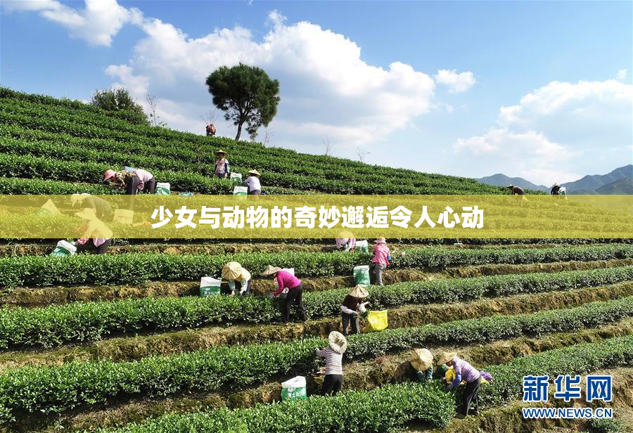 少女与动物的奇妙邂逅令人心动