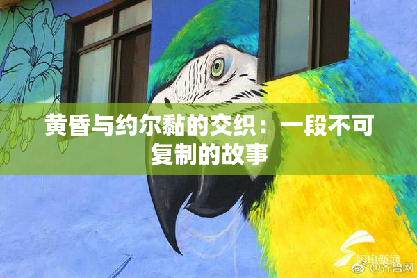 黄昏与约尔黏的交织：一段不可复制的故事