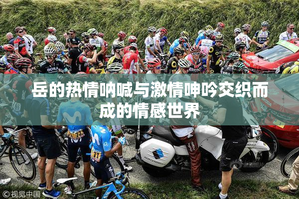 岳的热情呐喊与激情呻吟交织而成的情感世界