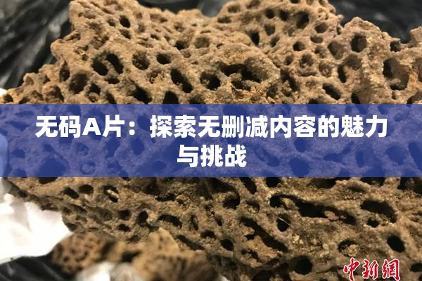 无码A片：探索无删减内容的魅力与挑战