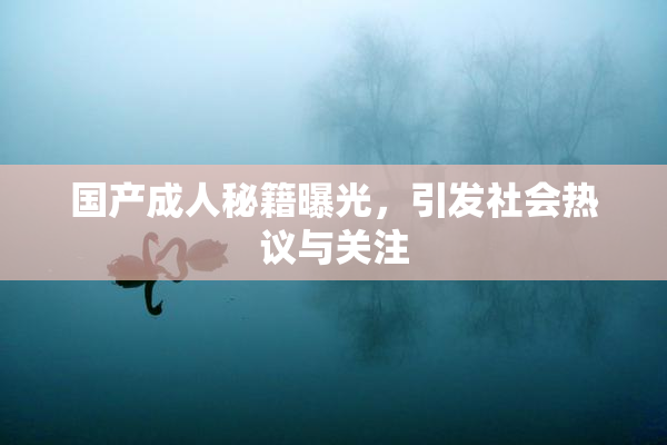 国产成人秘籍曝光，引发社会热议与关注
