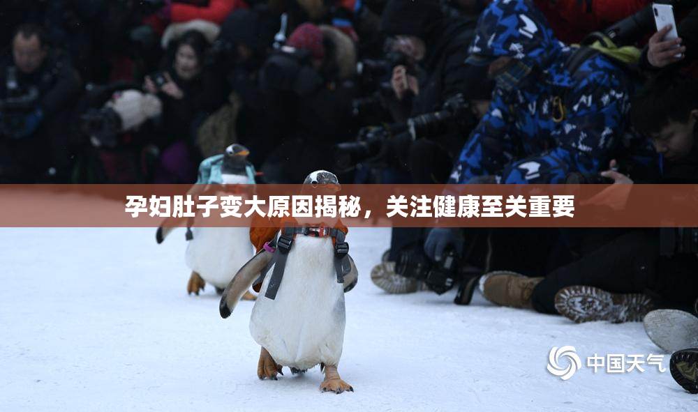 孕妇肚子变大原因揭秘，关注健康至关重要
