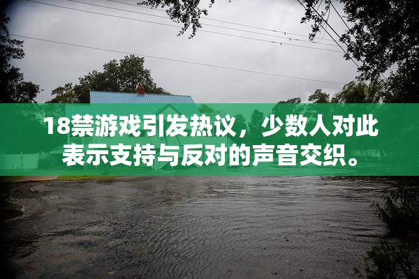 18禁游戏引发热议，少数人对此表示支持与反对的声音交织。