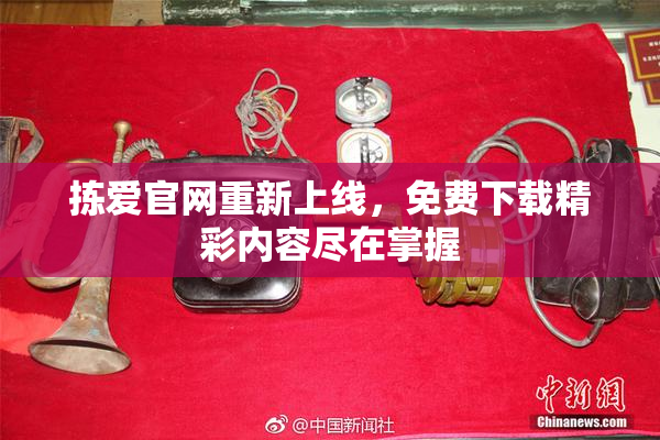 拣爱官网重新上线，免费下载精彩内容尽在掌握