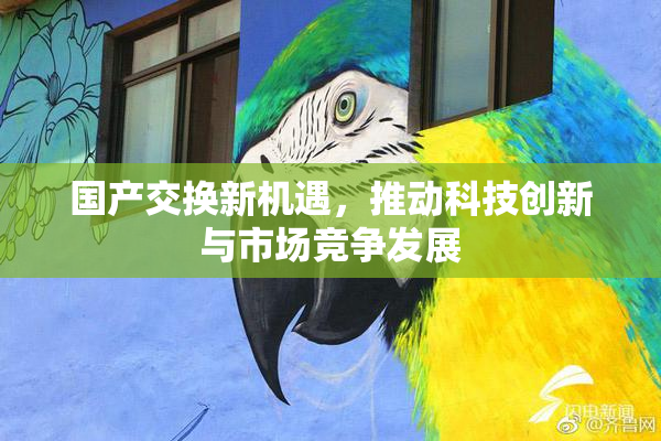 国产交换新机遇，推动科技创新与市场竞争发展