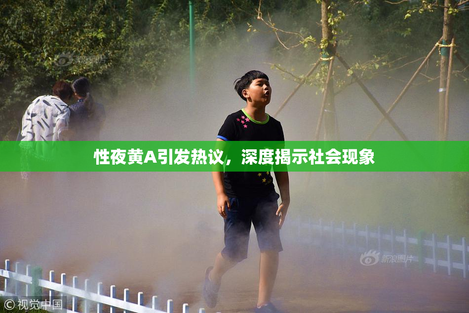 性夜黄A引发热议，深度揭示社会现象