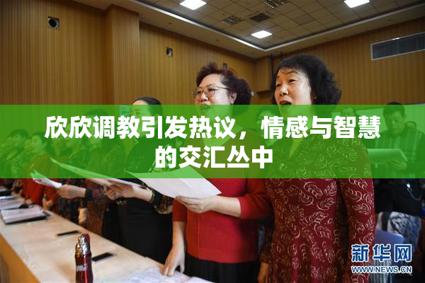 欣欣调教引发热议，情感与智慧的交汇丛中