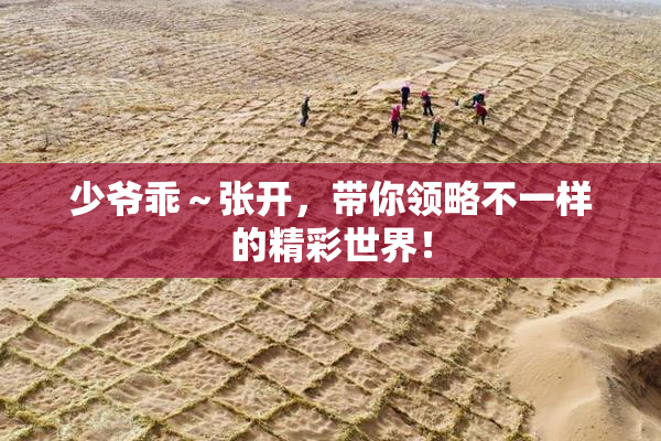 少爷乖～张开，带你领略不一样的精彩世界！