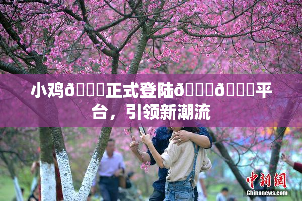 小鸡🐔正式登陆🍑🔞平台，引领新潮流