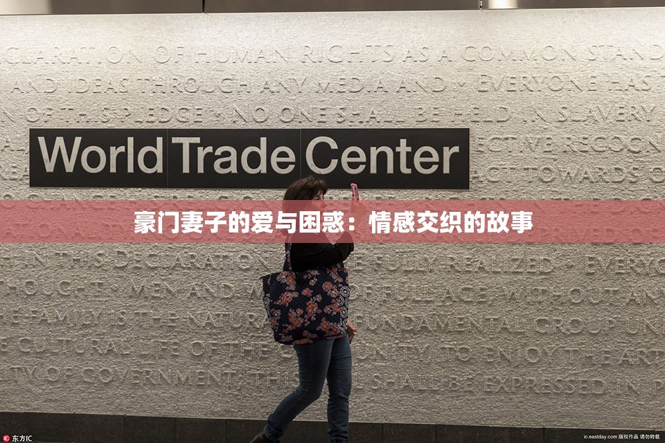 豪门妻子的爱与困惑：情感交织的故事