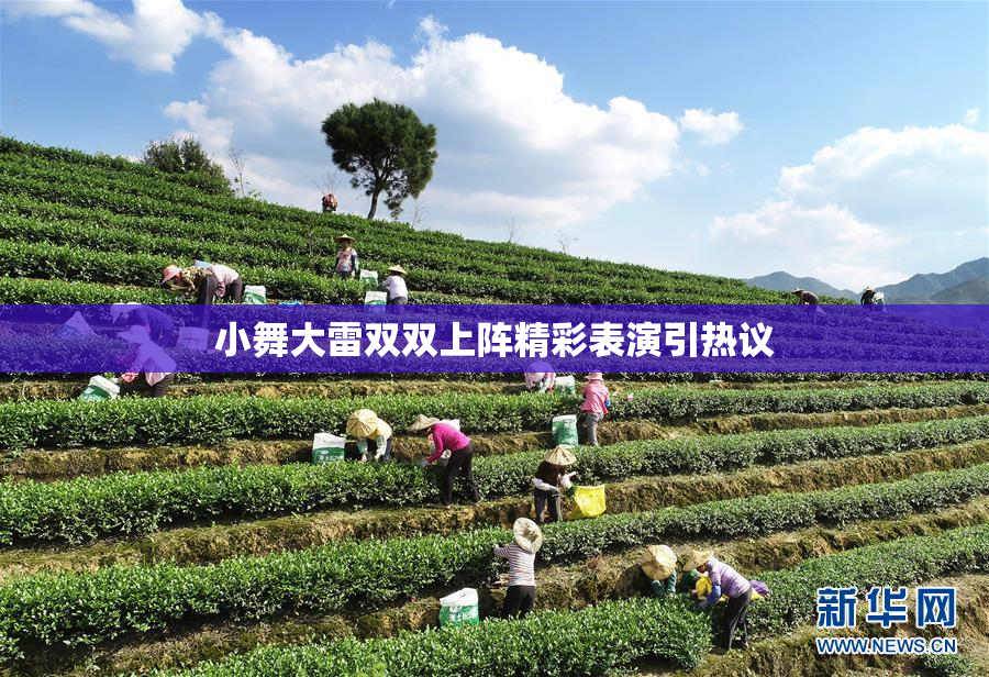 小舞大雷双双上阵精彩表演引热议