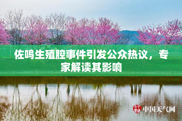 佐鸣生殖腔事件引发公众热议，专家解读其影响