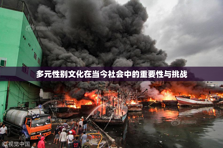 多元性别文化在当今社会中的重要性与挑战