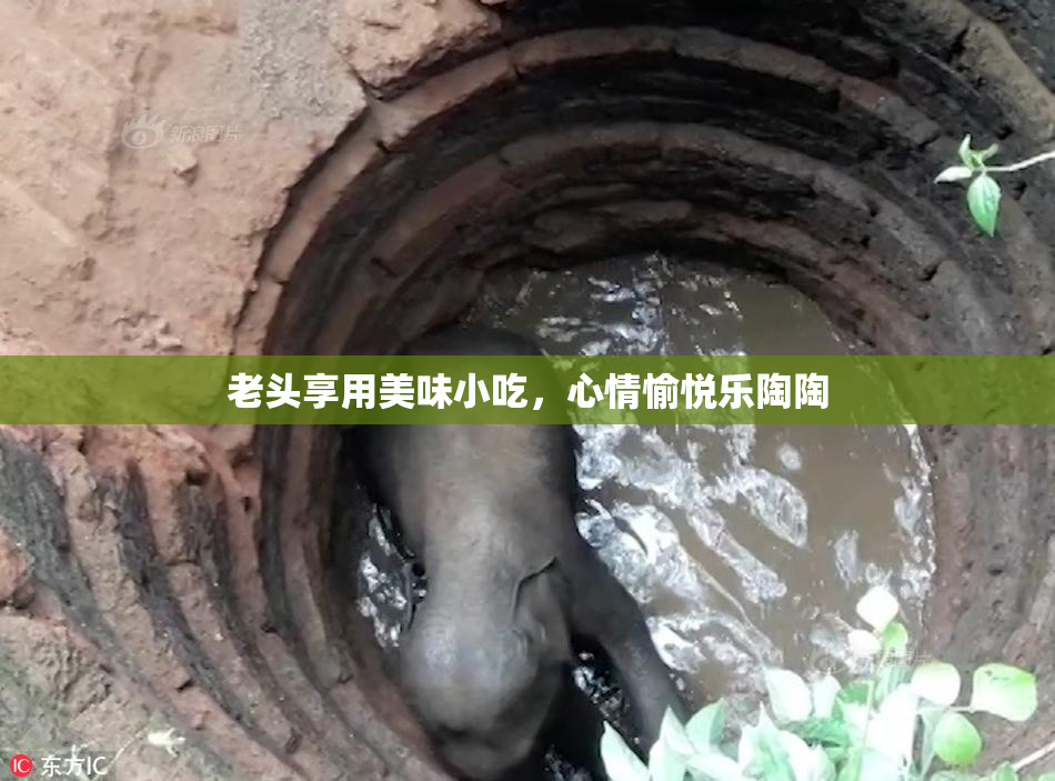 老头享用美味小吃，心情愉悦乐陶陶