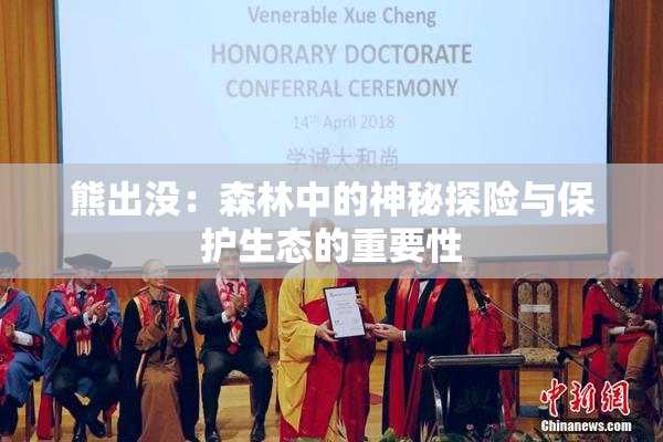 熊出没：森林中的神秘探险与保护生态的重要性