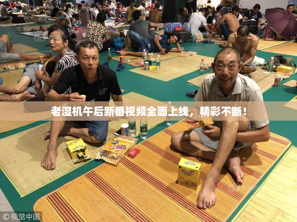 老湿机午后新番视频全面上线，精彩不断！