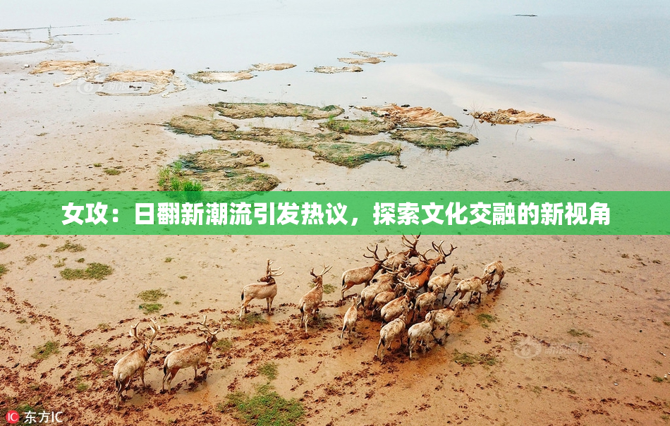 女攻：日翻新潮流引发热议，探索文化交融的新视角