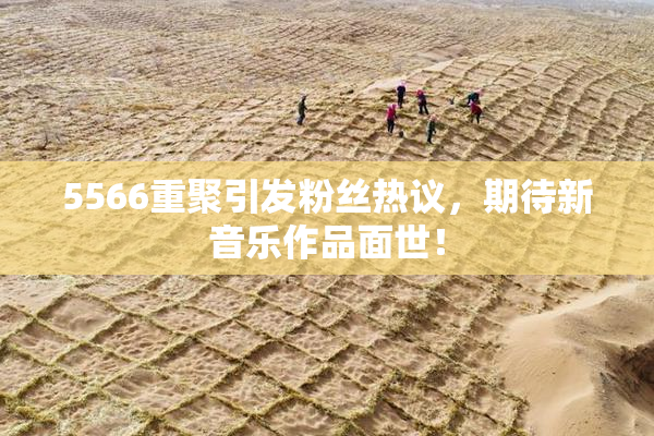 5566重聚引发粉丝热议，期待新音乐作品面世！