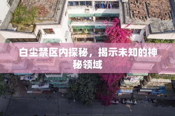 白尘禁区内探秘，揭示未知的神秘领域