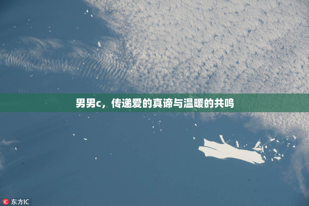 男男c，传递爱的真谛与温暖的共鸣