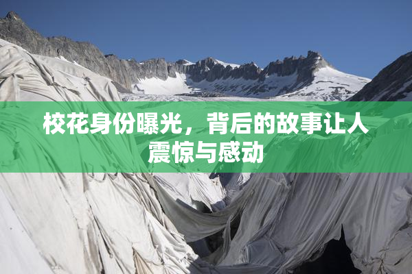 校花身份曝光，背后的故事让人震惊与感动