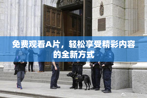 免费观看A片，轻松享受精彩内容的全新方式