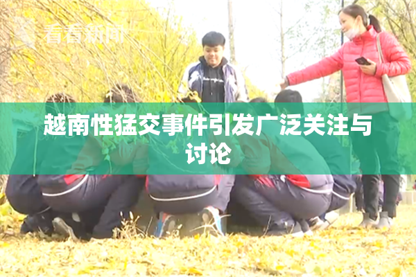 越南性猛交事件引发广泛关注与讨论