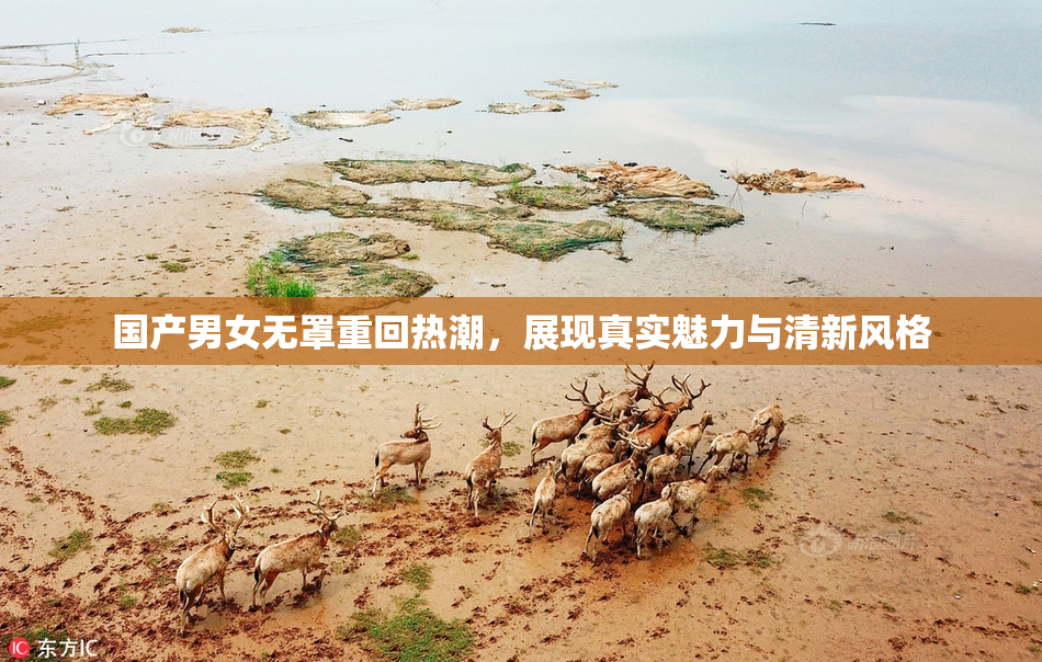 国产男女无罩重回热潮，展现真实魅力与清新风格