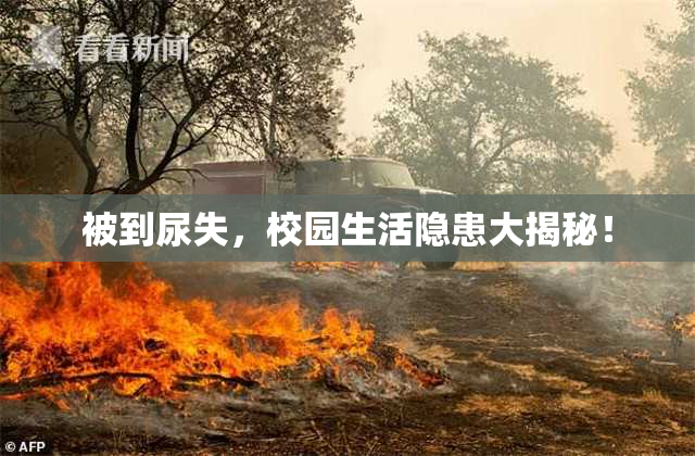 被到尿失，校园生活隐患大揭秘！