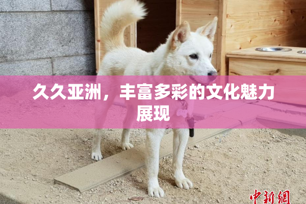 久久亚洲，丰富多彩的文化魅力展现