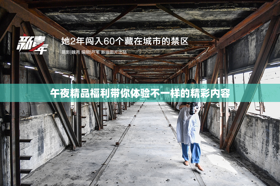 午夜精品福利带你体验不一样的精彩内容