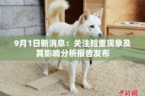 9月1日新消息：关注短重现象及其影响分析报告发布