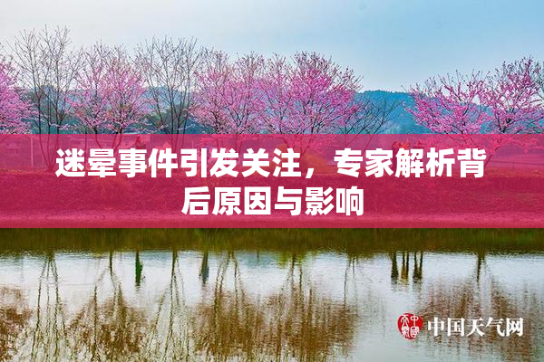 迷晕事件引发关注，专家解析背后原因与影响
