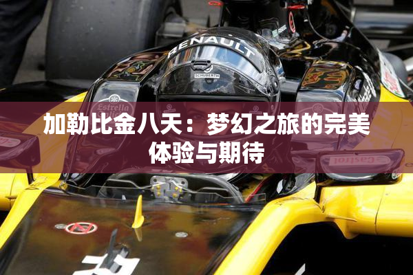 加勒比金八天：梦幻之旅的完美体验与期待