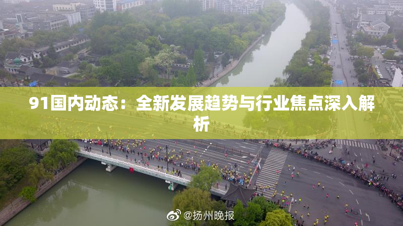 91国内动态：全新发展趋势与行业焦点深入解析