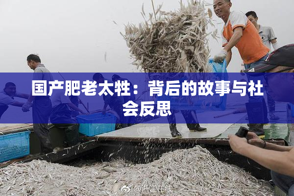 国产肥老太牲：背后的故事与社会反思