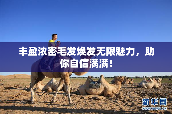 丰盈浓密毛发焕发无限魅力，助你自信满满！