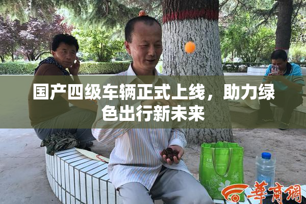 国产四级车辆正式上线，助力绿色出行新未来