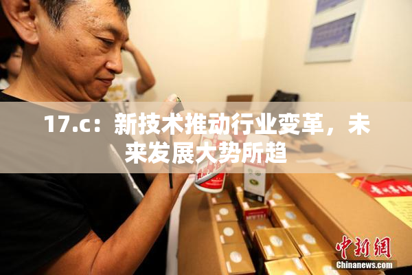 17.c：新技术推动行业变革，未来发展大势所趋