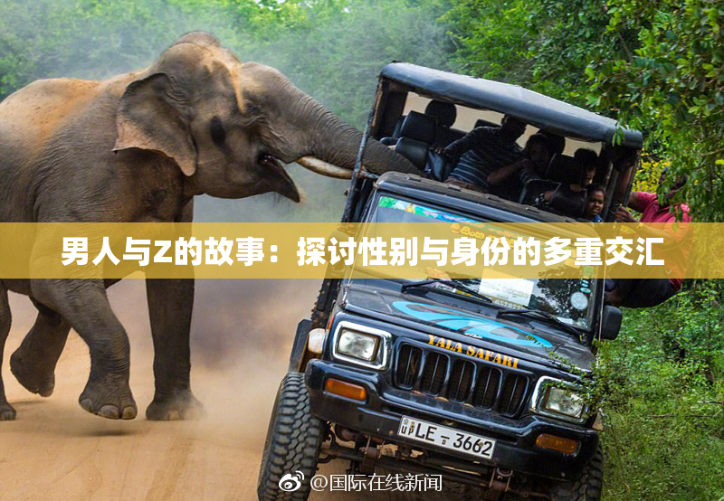 男人与Z的故事：探讨性别与身份的多重交汇