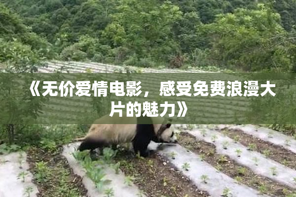 《无价爱情电影，感受免费浪漫大片的魅力》