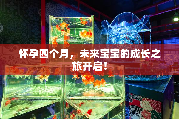 怀孕四个月，未来宝宝的成长之旅开启！