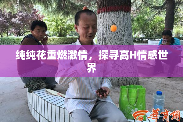 纯纯花重燃激情，探寻高H情感世界