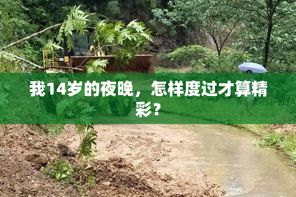 我14岁的夜晚，怎样度过才算精彩？
