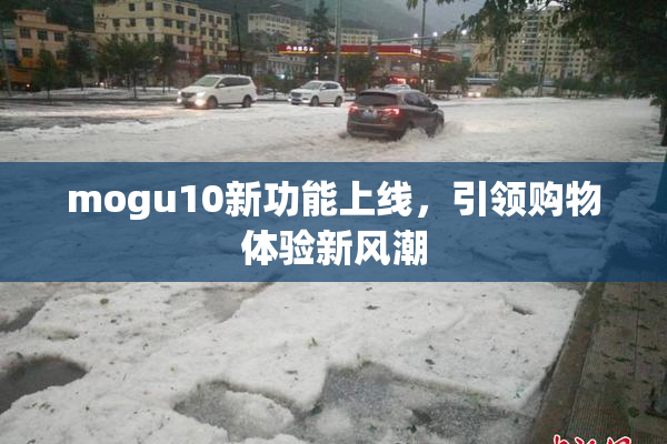 mogu10新功能上线，引领购物体验新风潮