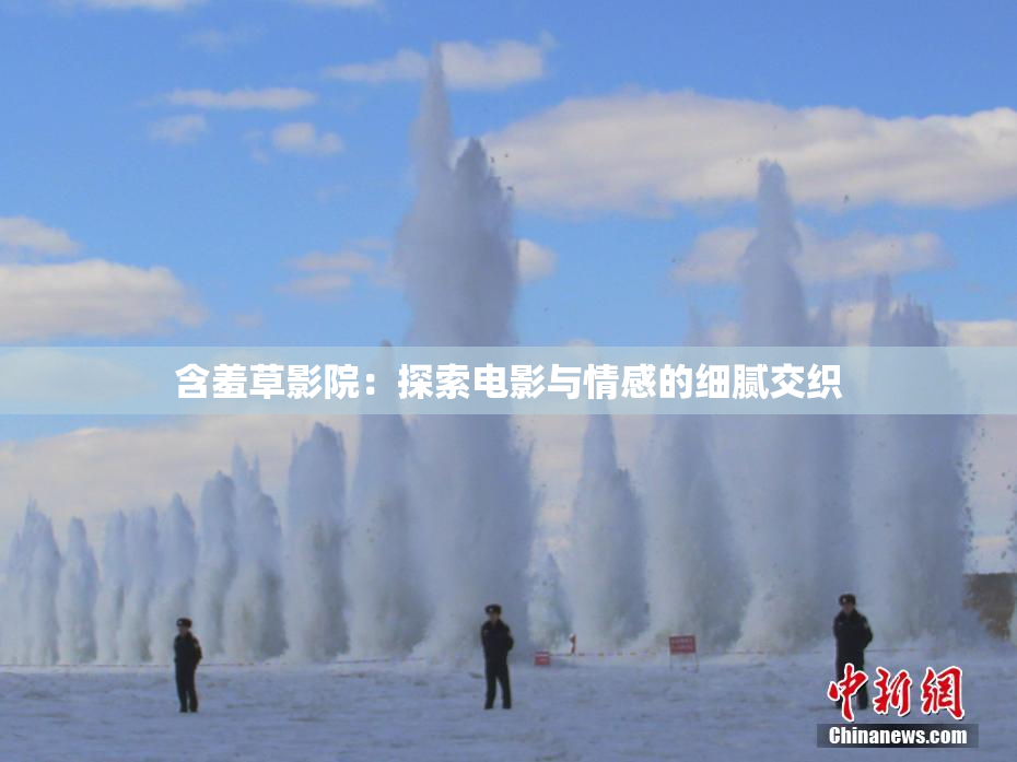 含羞草影院：探索电影与情感的细腻交织