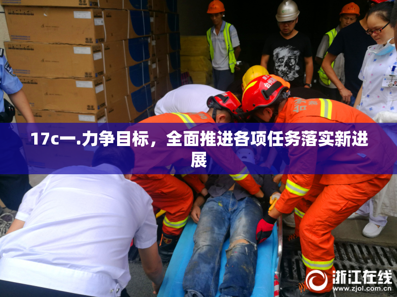 17c一.力争目标，全面推进各项任务落实新进展