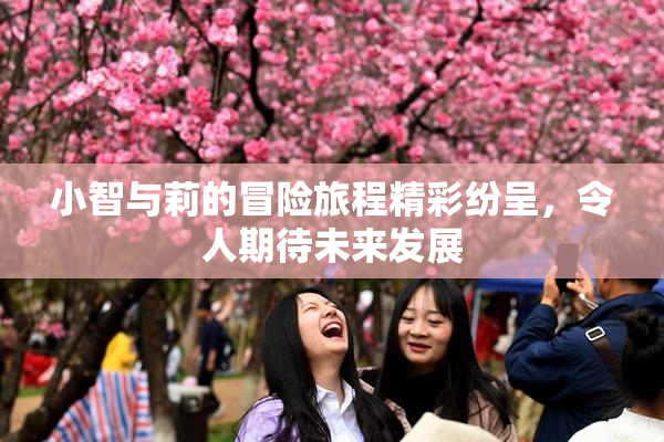 小智与莉的冒险旅程精彩纷呈，令人期待未来发展