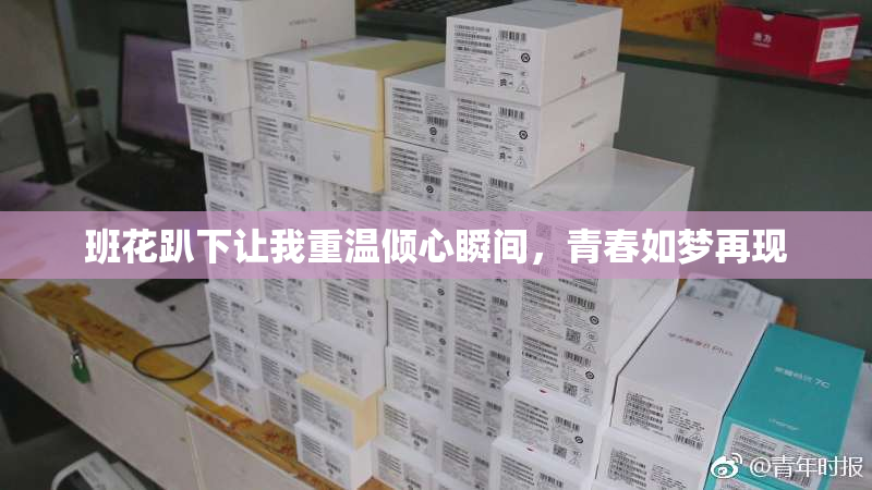 班花趴下让我重温倾心瞬间，青春如梦再现